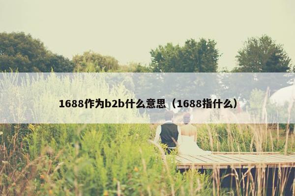 1688作为b2b什么意思（1688指什么）