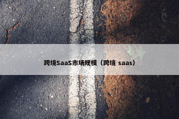 跨境SaaS市场规模（跨境 saas）