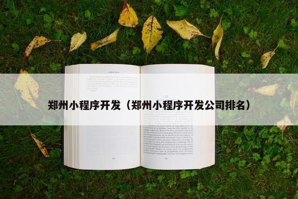 郑州小程序开发（郑州小程序开发公司排名）