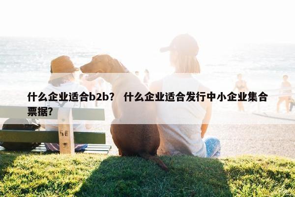 什么企业适合b2b？ 什么企业适合发行中小企业集合票据？
