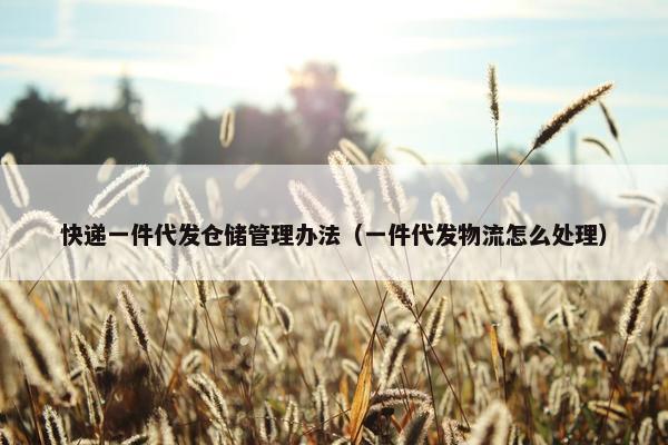 快递一件代发仓储管理办法（一件代发物流怎么处理）