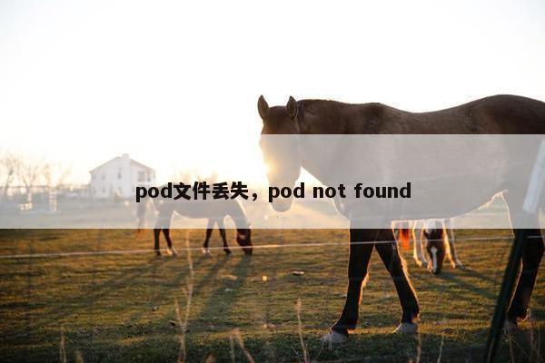 pod文件丢失，pod not found