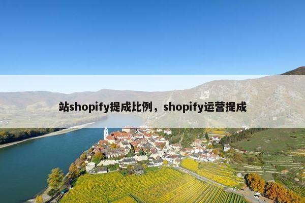 站shopify提成比例，shopify运营提成