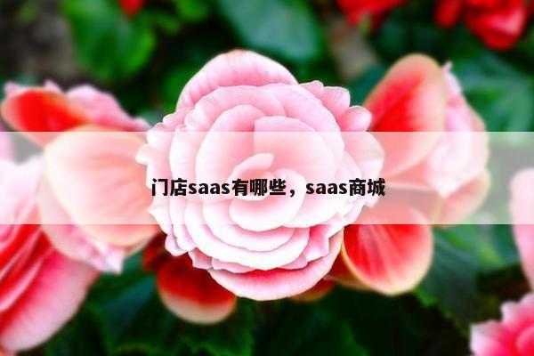 门店saas有哪些，saas商城