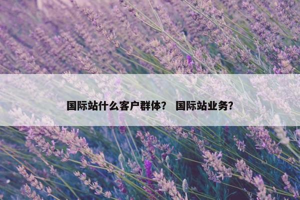 国际站什么客户群体？ 国际站业务？