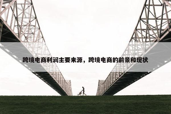 跨境电商利润主要来源，跨境电商的前景和现状