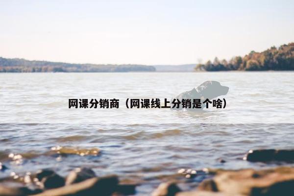 网课分销商（网课线上分销是个啥）