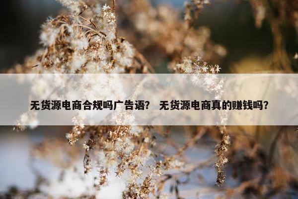 无货源电商合规吗广告语？ 无货源电商真的赚钱吗？