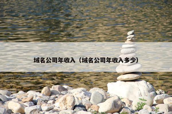 域名公司年收入（域名公司年收入多少）