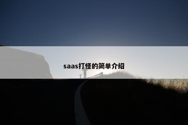 saas打怪的简单介绍
