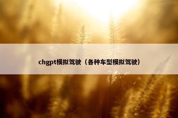 chgpt模拟驾驶（各种车型模拟驾驶）