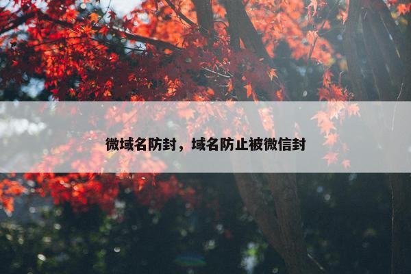 微域名防封，域名防止被微信封