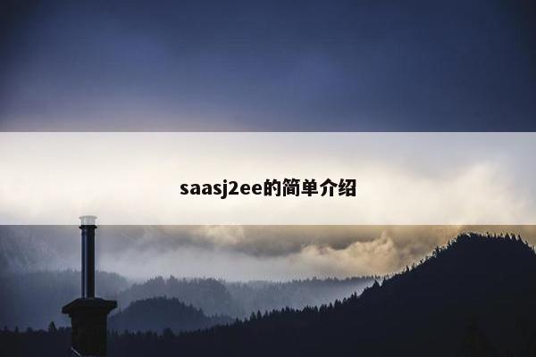 saasj2ee的简单介绍
