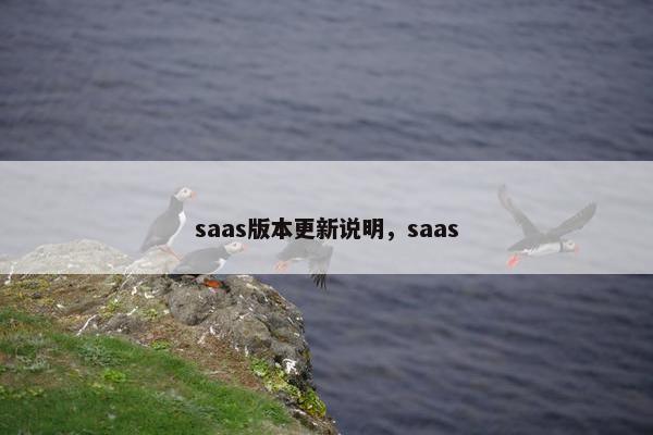 saas版本更新说明，saas
