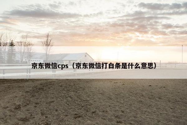 京东微信cps（京东微信打白条是什么意思）