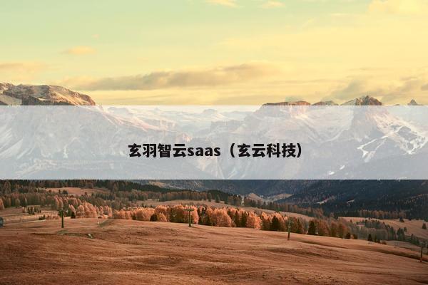 玄羽智云saas（玄云科技）