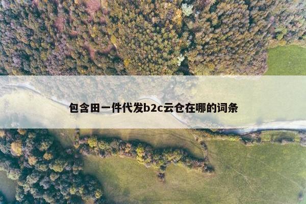 包含田一件代发b2c云仓在哪的词条