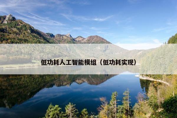 低功耗人工智能模组（低功耗实现）