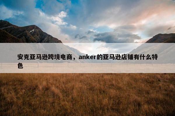 安克亚马逊跨境电商，anker的亚马逊店铺有什么特色