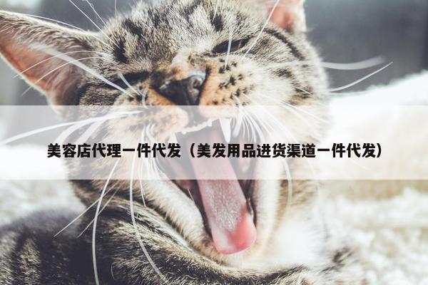 美容店代理一件代发（美发用品进货渠道一件代发）