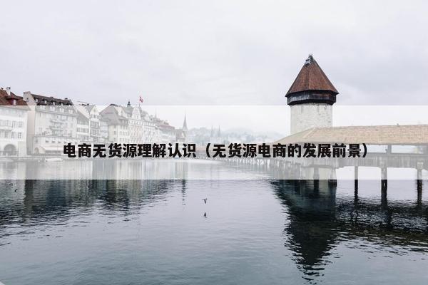 电商无货源理解认识（无货源电商的发展前景）