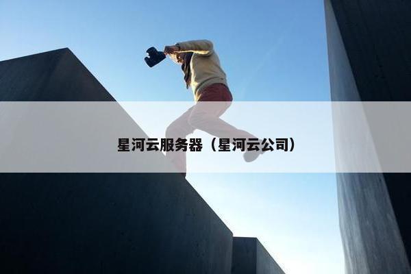 星河云服务器（星河云公司）