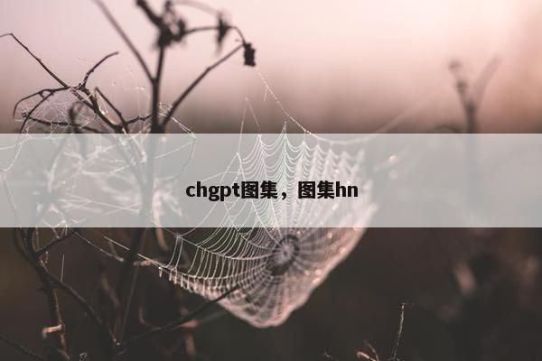 chgpt图集，图集hn