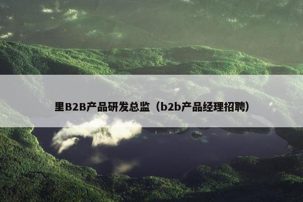 里B2B产品研发总监（b2b产品经理招聘）