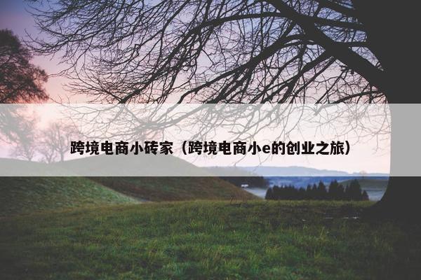 跨境电商小砖家（跨境电商小e的创业之旅）