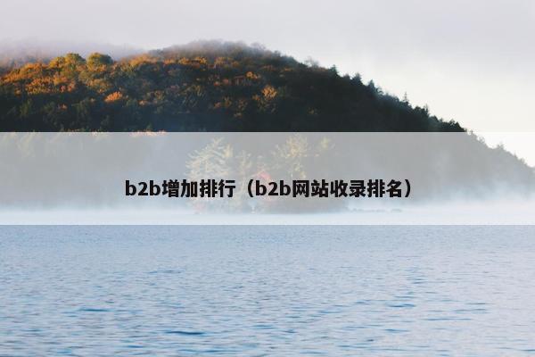 b2b增加排行（b2b网站收录排名）