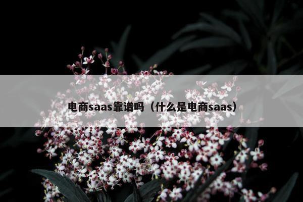 电商saas靠谱吗（什么是电商saas）
