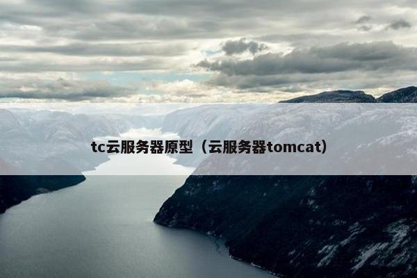 tc云服务器原型（云服务器tomcat）