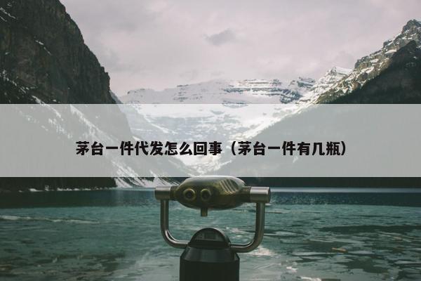 茅台一件代发怎么回事（茅台一件有几瓶）