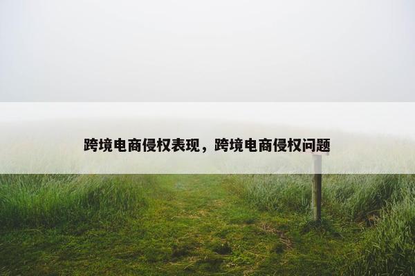 跨境电商侵权表现，跨境电商侵权问题
