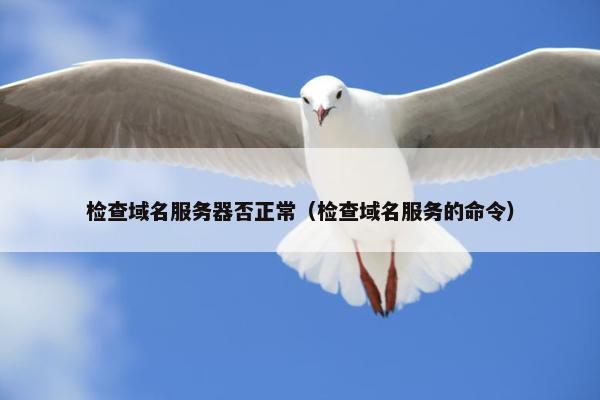检查域名服务器否正常（检查域名服务的命令）