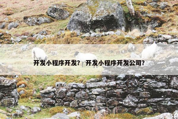 开发小程序开发？ 开发小程序开发公司？