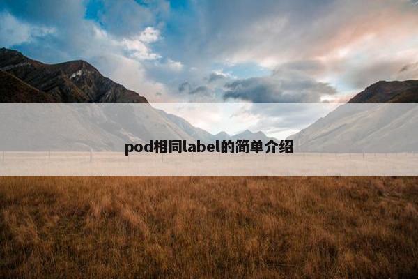 pod相同label的简单介绍
