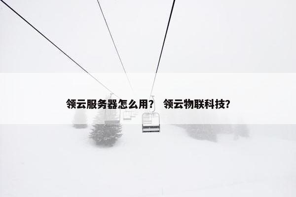 领云服务器怎么用？ 领云物联科技？