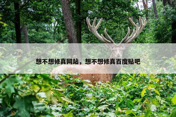 想不想修真网站，想不想修真百度贴吧