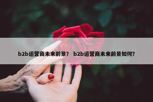 b2b运营商未来前景？ b2b运营商未来前景如何？