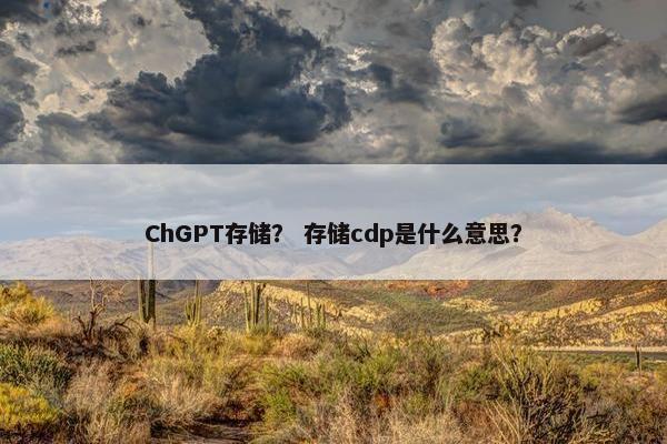 ChGPT存储？ 存储cdp是什么意思？