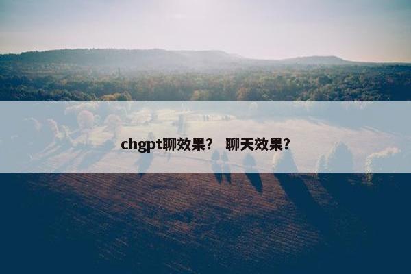 chgpt聊效果？ 聊天效果？