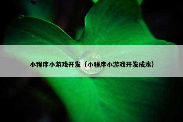 小程序小游戏开发（小程序小游戏开发成本）