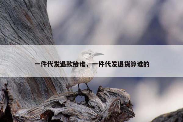 一件代发退款给谁，一件代发退货算谁的