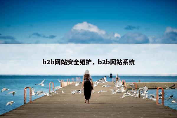 b2b网站安全维护，b2b网站系统