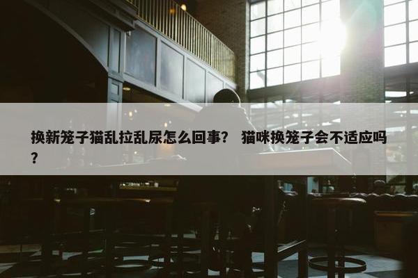 换新笼子猫乱拉乱尿怎么回事？ 猫咪换笼子会不适应吗？