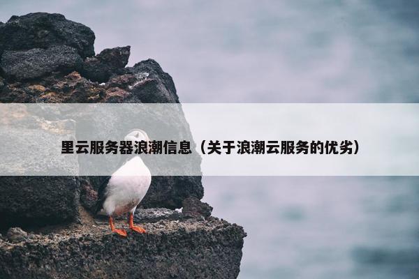 里云服务器浪潮信息（关于浪潮云服务的优劣）