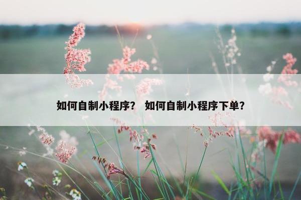 如何自制小程序？ 如何自制小程序下单？