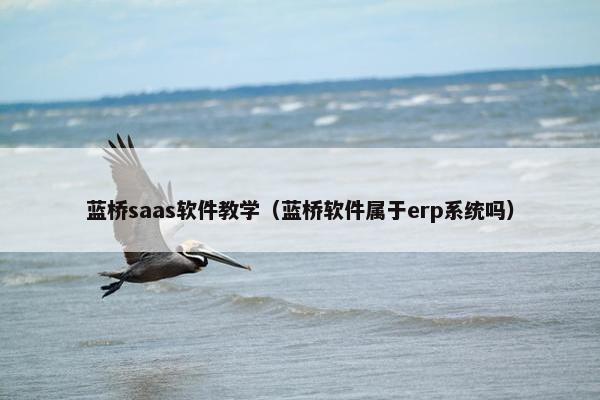 蓝桥saas软件教学（蓝桥软件属于erp系统吗）