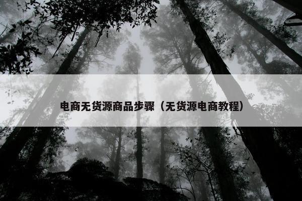 电商无货源商品步骤（无货源电商教程）